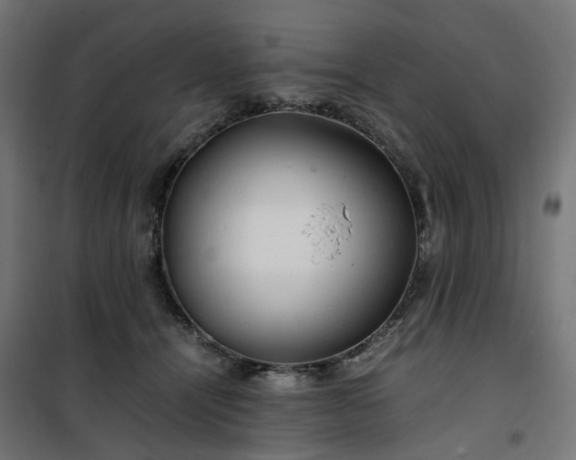 X0000100490464200806201656