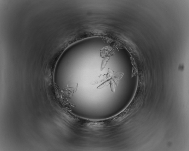 X0000100490465200806201656