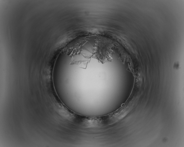 X0000100490466200806201657
