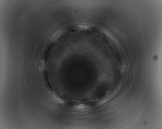 X0000100490467200806201657