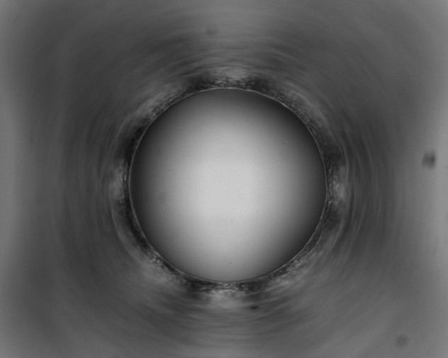 X0000100490468200806201657