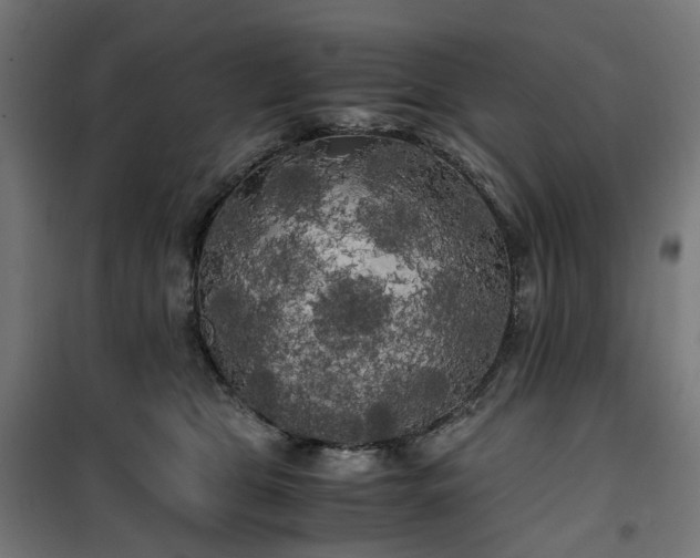 X0000100490469200806201657