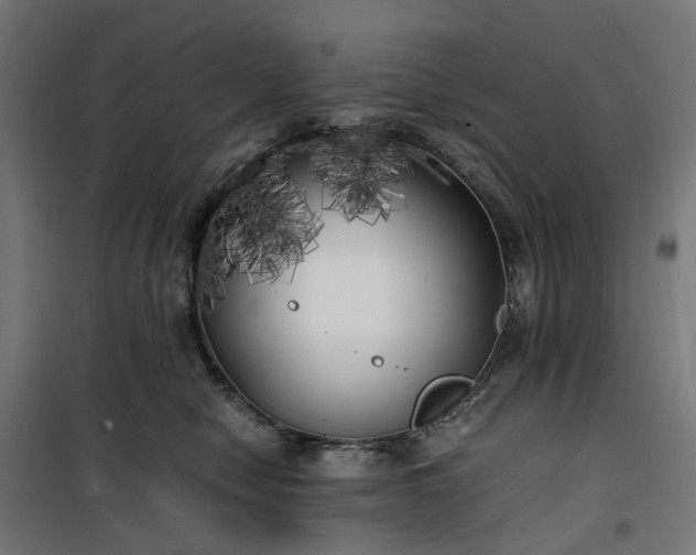 X0000100490470200806201657