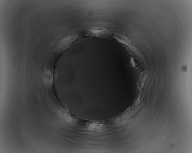 X0000100490471200806201657