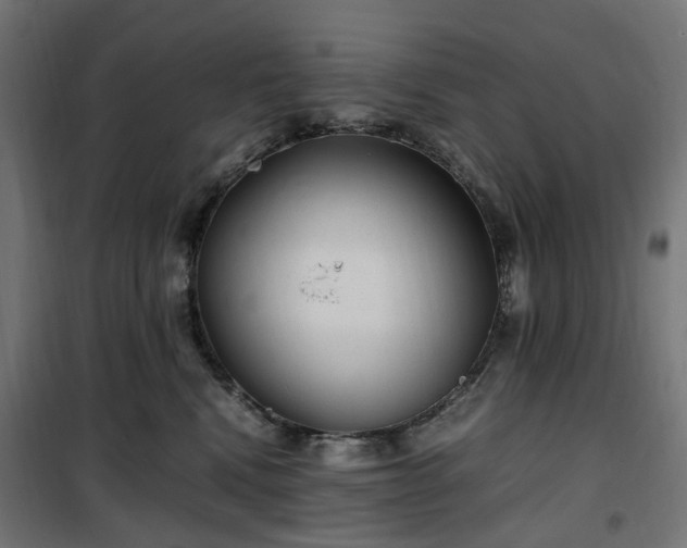 X0000100490472200806201657