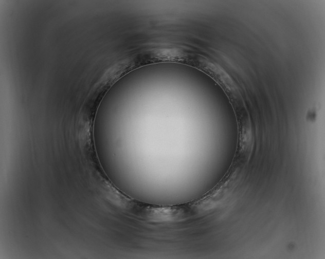 X0000100490473200806201657