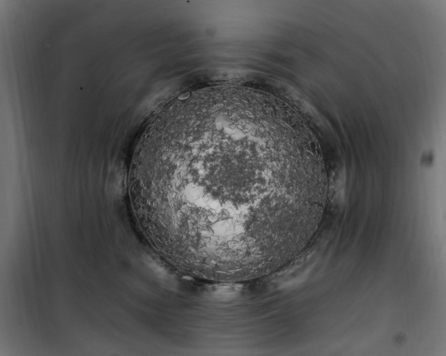 X0000100490474200806201657