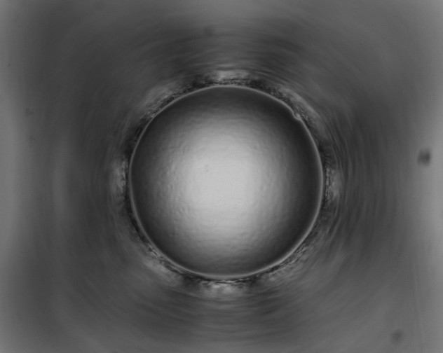 X0000100490475200806201657