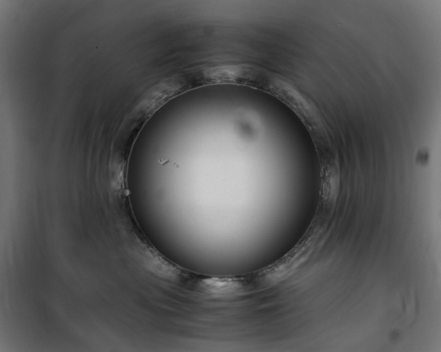 X0000100490477200806201657