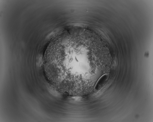 X0000100490478200806201657