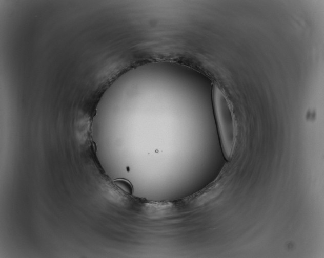 X0000100490480200806201657