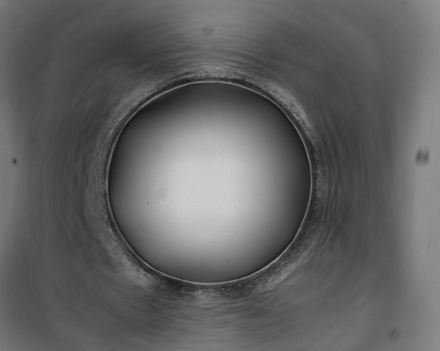 X0000100490481200806201656