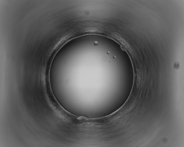 X0000100490482200806201656