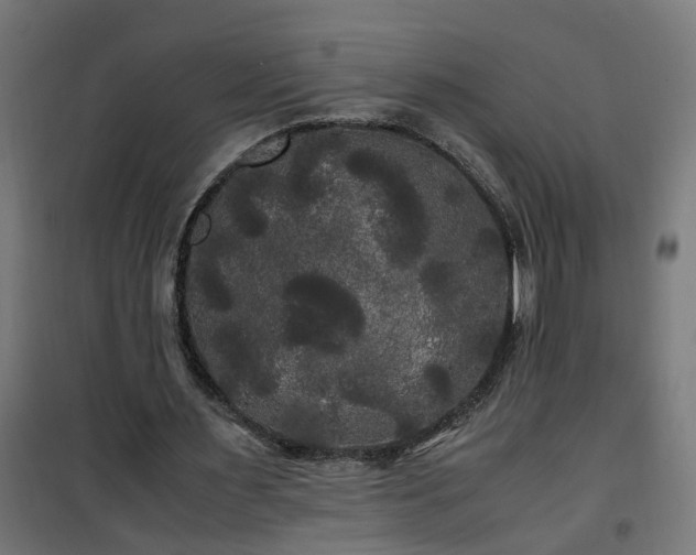 X0000100490483200806201656