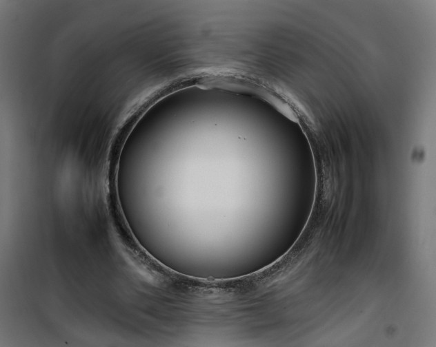 X0000100490486200806201656