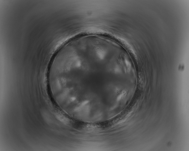 X0000100490487200806201656