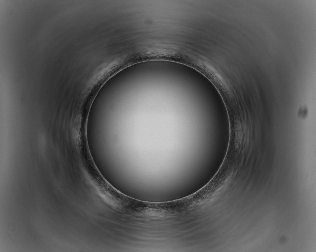 X0000100490490200806201656