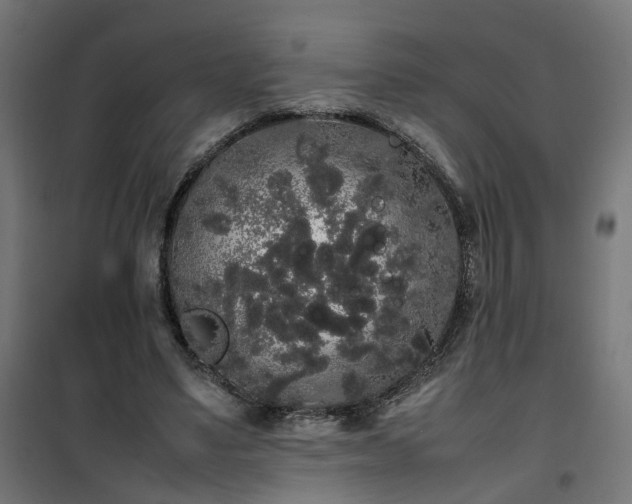 X0000100490491200806201656