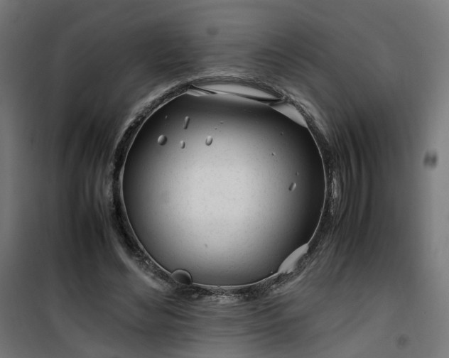 X0000100490492200806201656