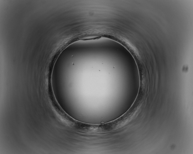 X0000100490493200806201656