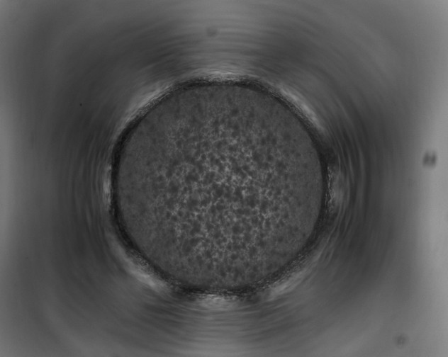 X0000100490494200806201656