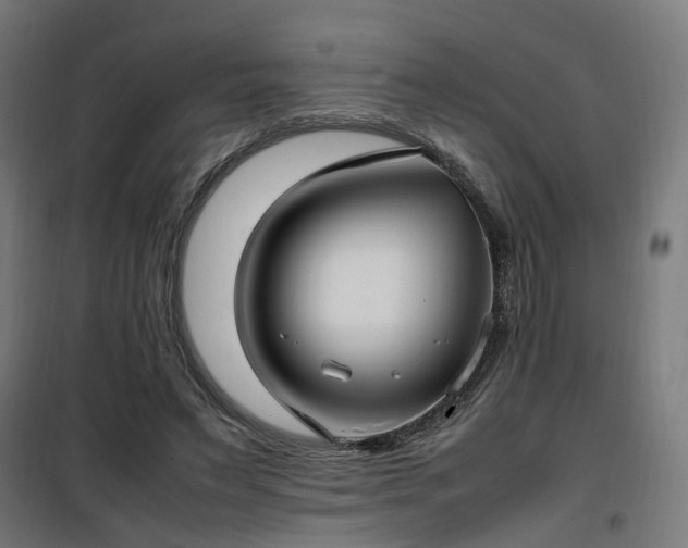 X0000100490495200806201656