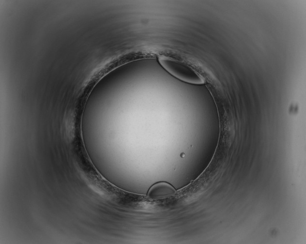 X0000100490496200806201656