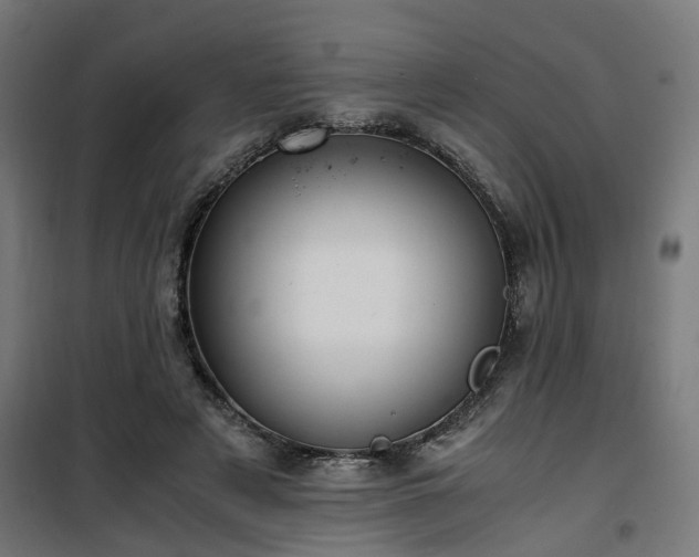 X0000100490497200806201656