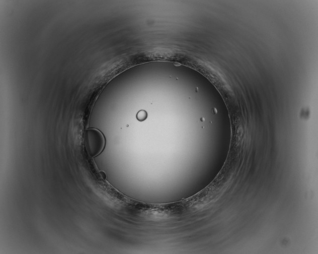 X0000100490498200806201656