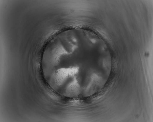 X0000100490499200806201656