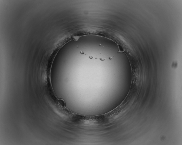 X0000100490500200806201656