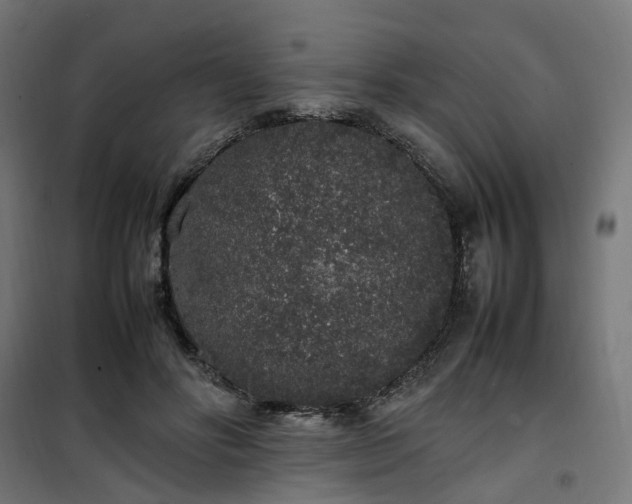 X0000100490502200806201656