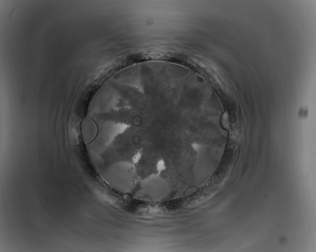 X0000100490503200806201656