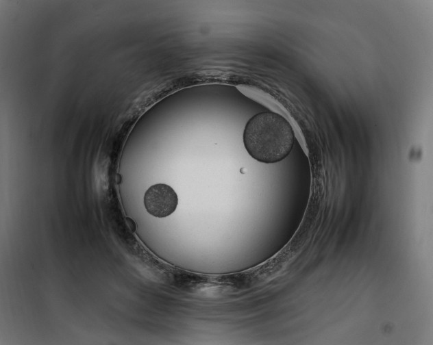 X0000100490504200806201656