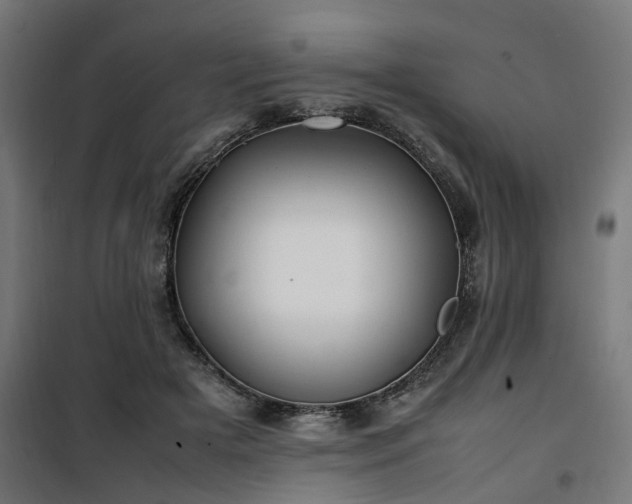 X0000100490505200806201656