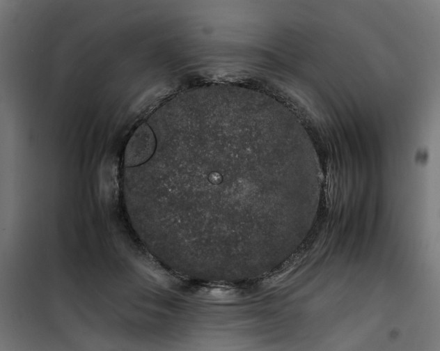 X0000100490506200806201656