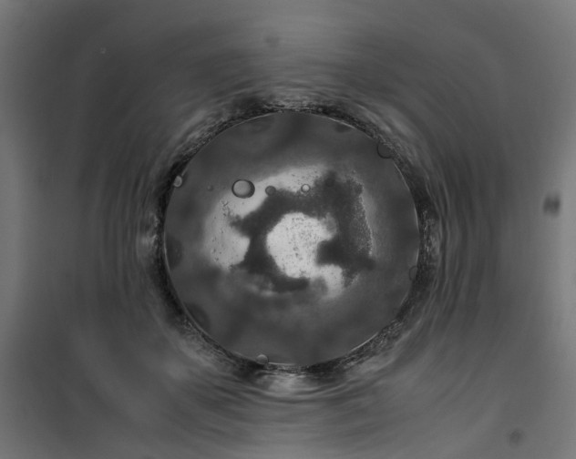 X0000100490507200806201656