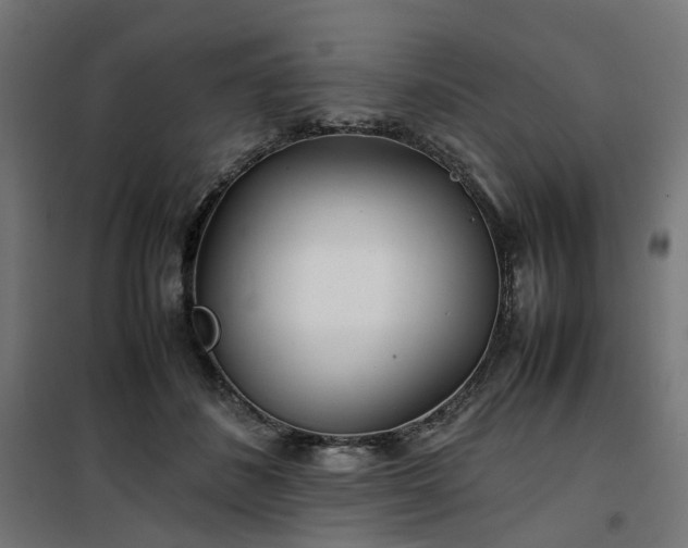 X0000100490508200806201656