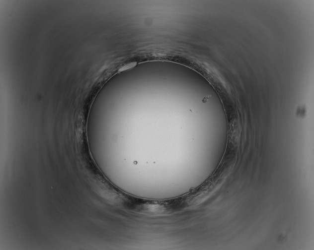 X0000100490509200806201656