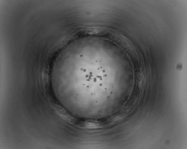 X0000100490510200806201656