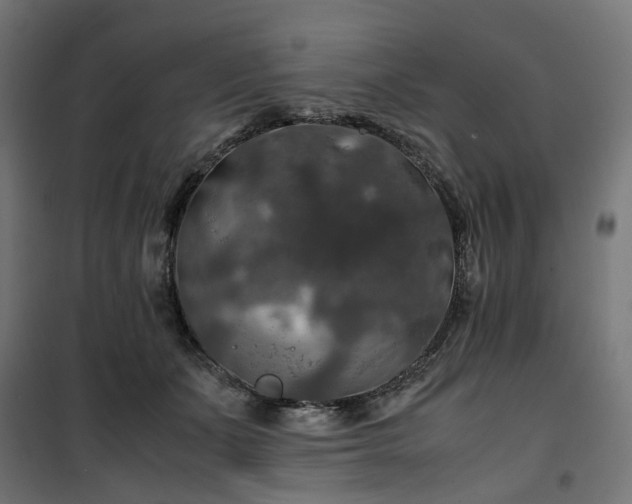 X0000100490511200806201656