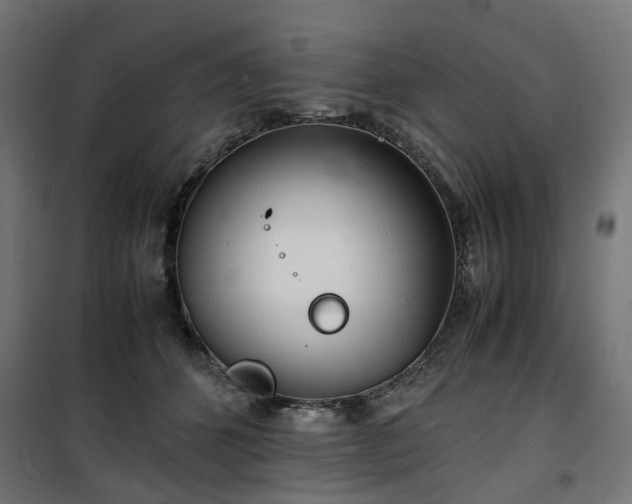 X0000100490512200806201656