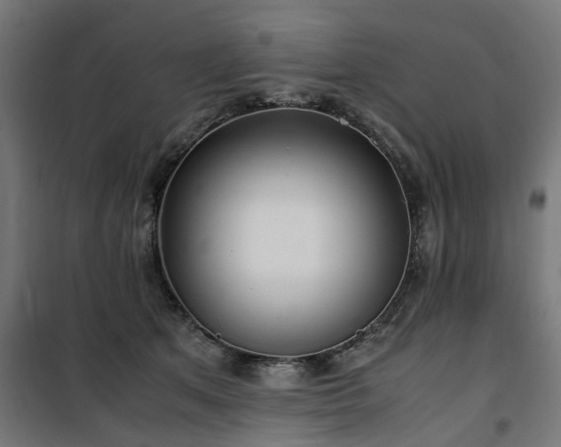 X0000100490513200806201656