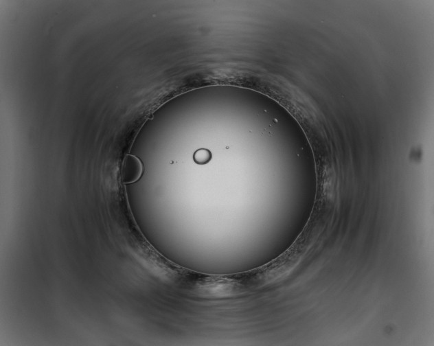 X0000100490514200806201656