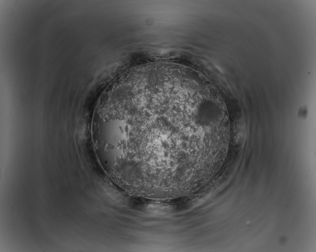 X0000100490515200806201656