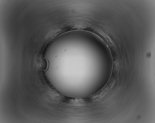 X0000100490517200806201656