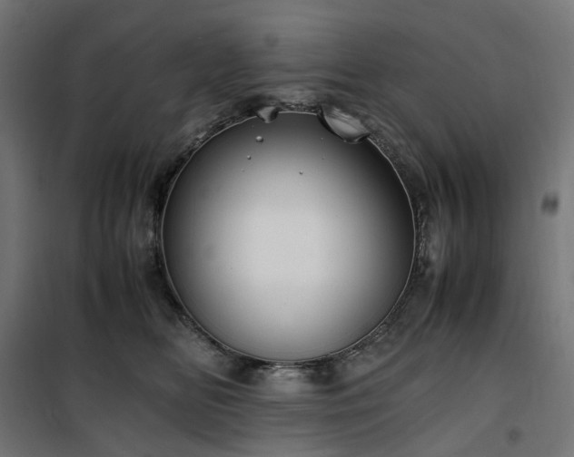 X0000100490518200806201655