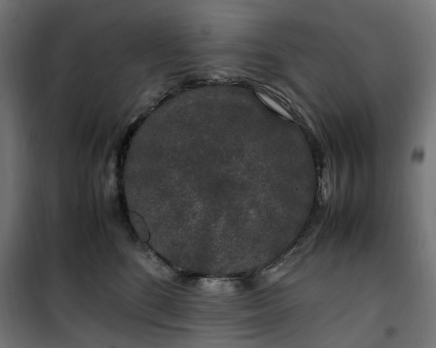 X0000100490520200806201655