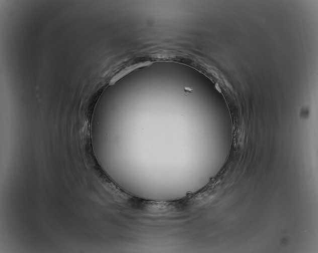 X0000100490521200806201655