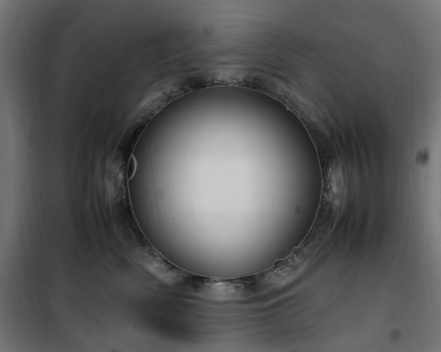 X0000100490522200806201655